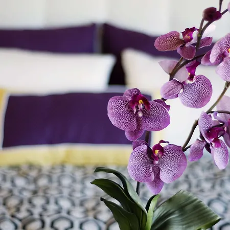 Otel Allium Bodrum & 5*