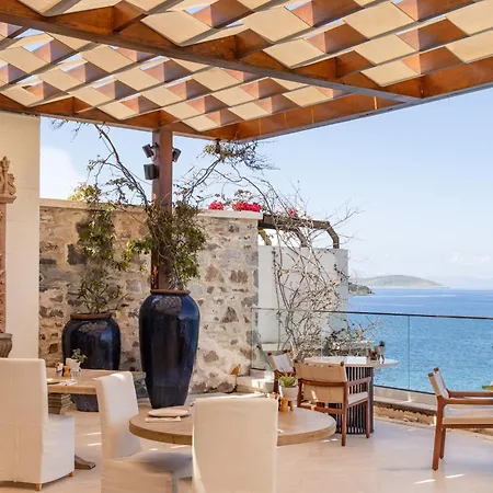 Allium Bodrum & Яликовак