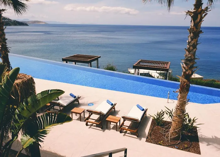 Allium Bodrum & 5*