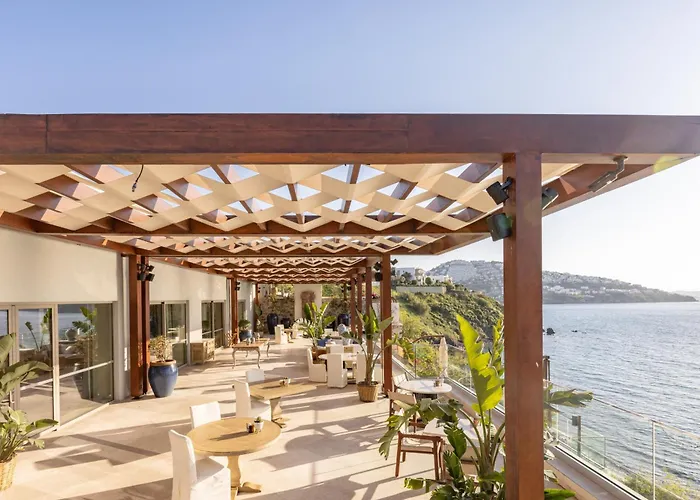 Allium Bodrum &