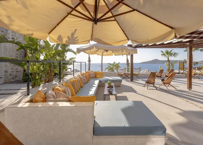 Allium Bodrum &