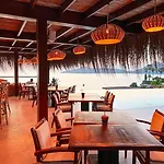 Allium Bodrum & יאליקאבאק