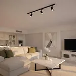 Allium Bodrum &