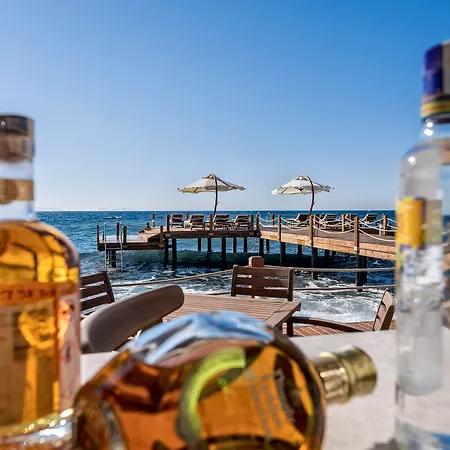 Allium Bodrum & 5*