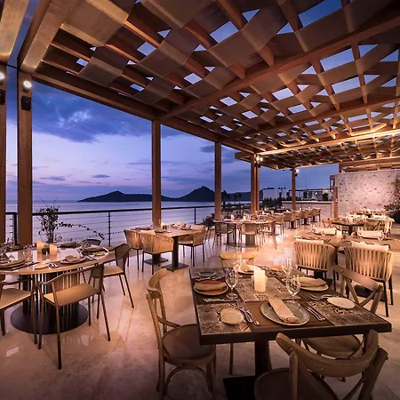 Allium Bodrum & 5*