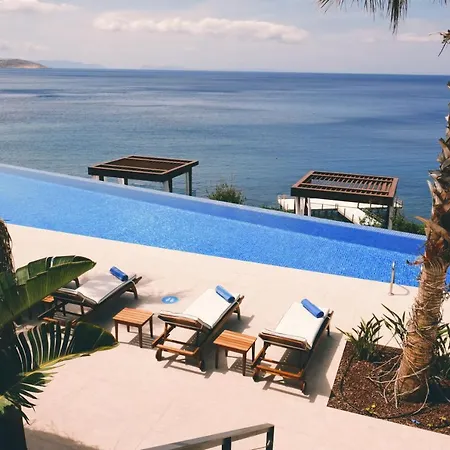 Allium Bodrum & 5*
