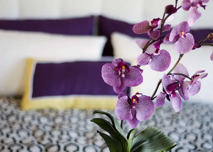 Szálloda Allium Bodrum & 5*