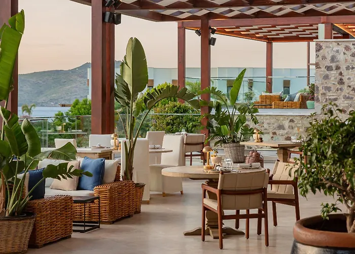 Allium Bodrum & Yalıkavak