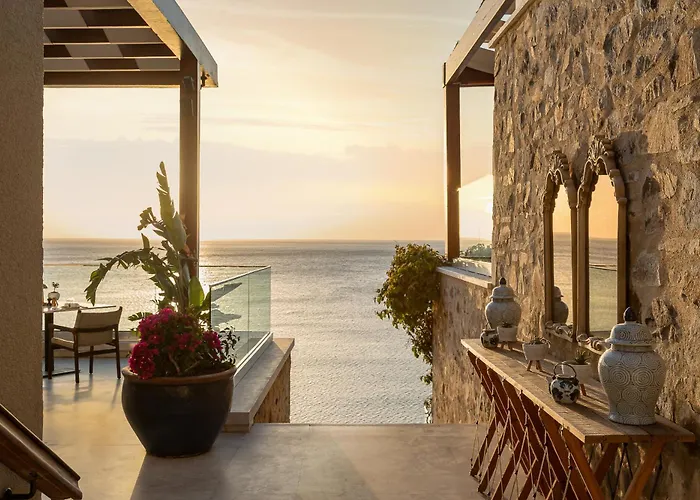 Allium Bodrum &