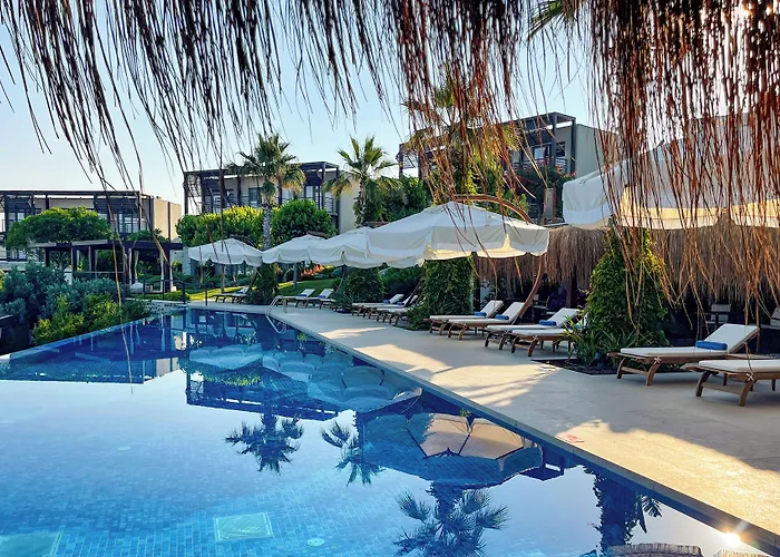 Allium Bodrum & 5*