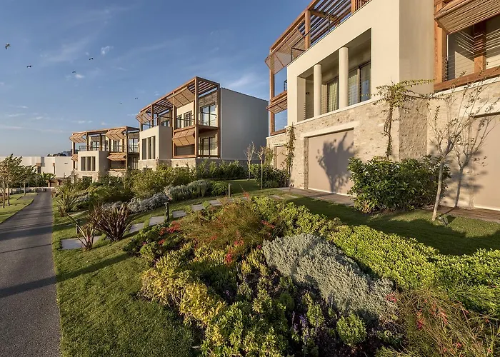 Allium Bodrum & 5*
